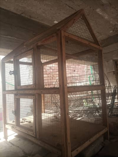 Cage for birds, parrots, little chiks, hens at Old Sukkur, Sukkur.