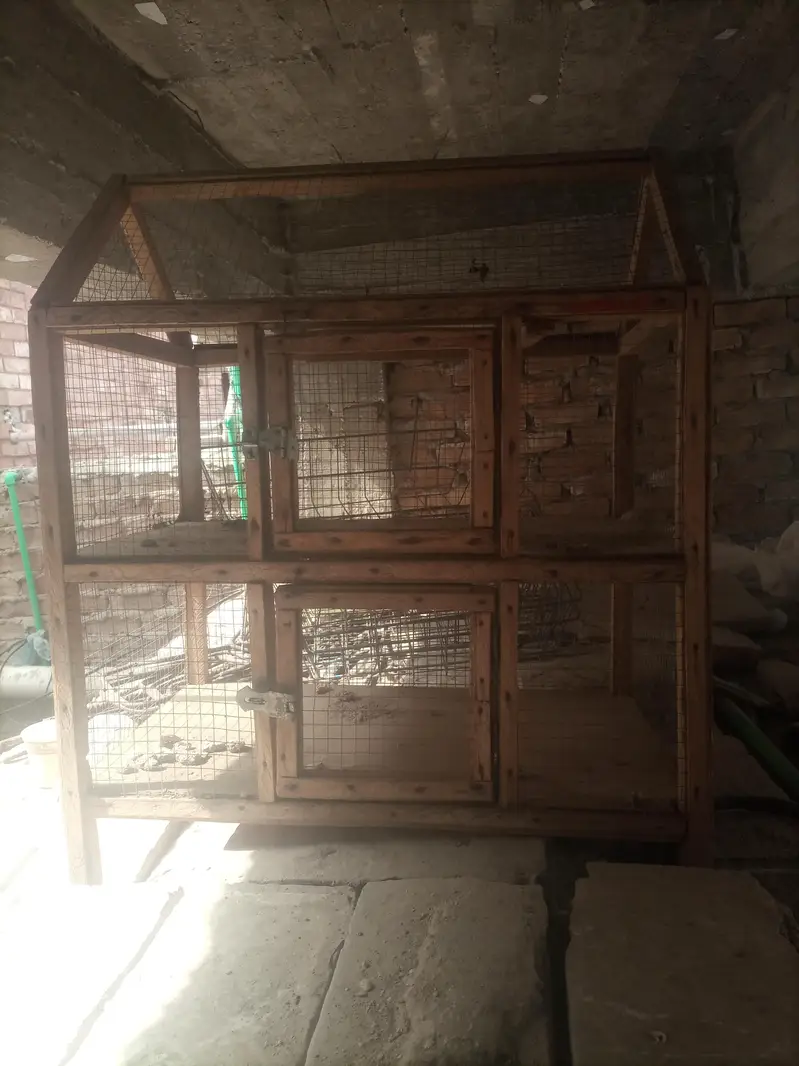 Cage for birds, parrots, little chiks, hens at Old Sukkur, Sukkur. — photo 2