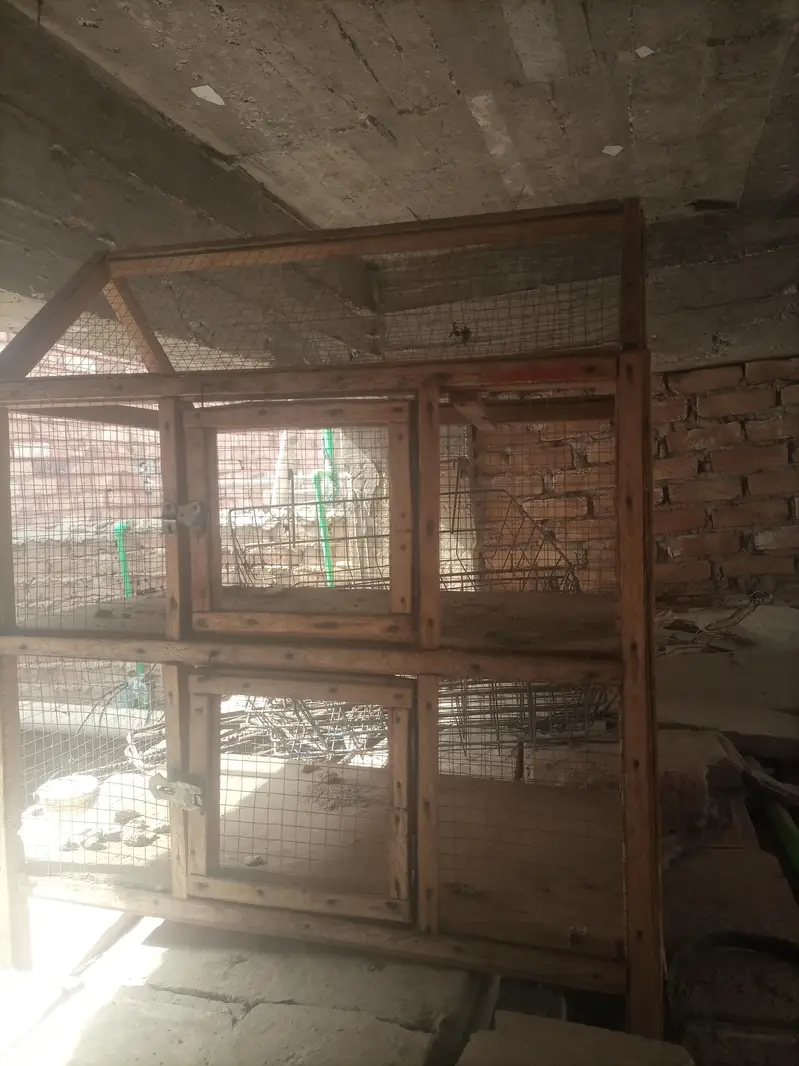 Cage for birds, parrots, little chiks, hens at Old Sukkur, Sukkur. — photo 3