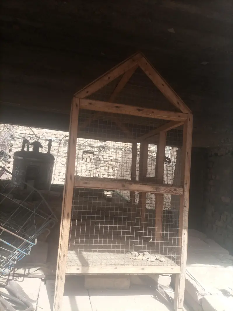 Cage for birds, parrots, little chiks, hens at Old Sukkur, Sukkur. — photo 4
