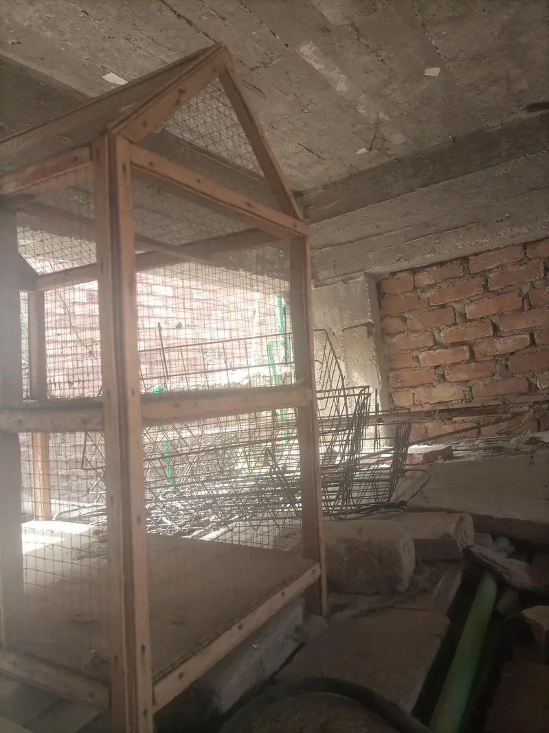 Cage for birds, parrots, little chiks, hens at Old Sukkur, Sukkur. — photo 5
