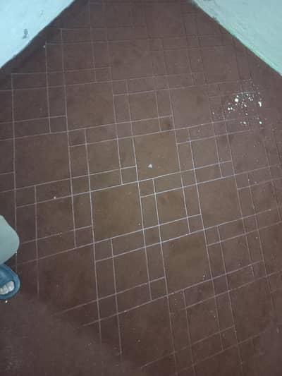 Carpet use