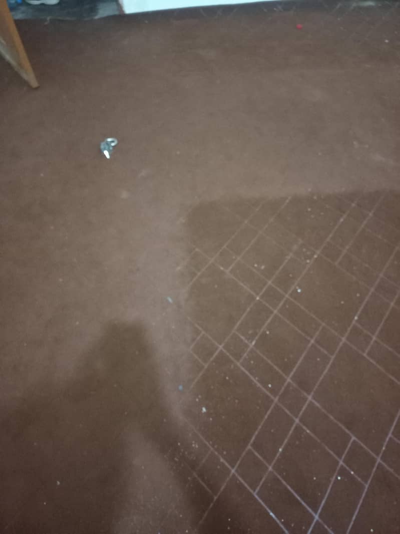Carpet use 1