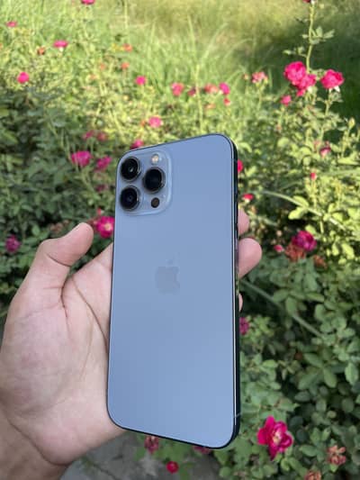 Apple iPhone 13 Pro Max