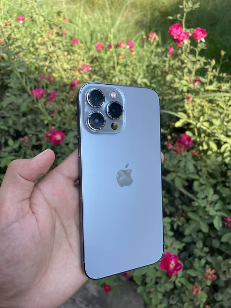 Apple iPhone 13 Pro Max 1