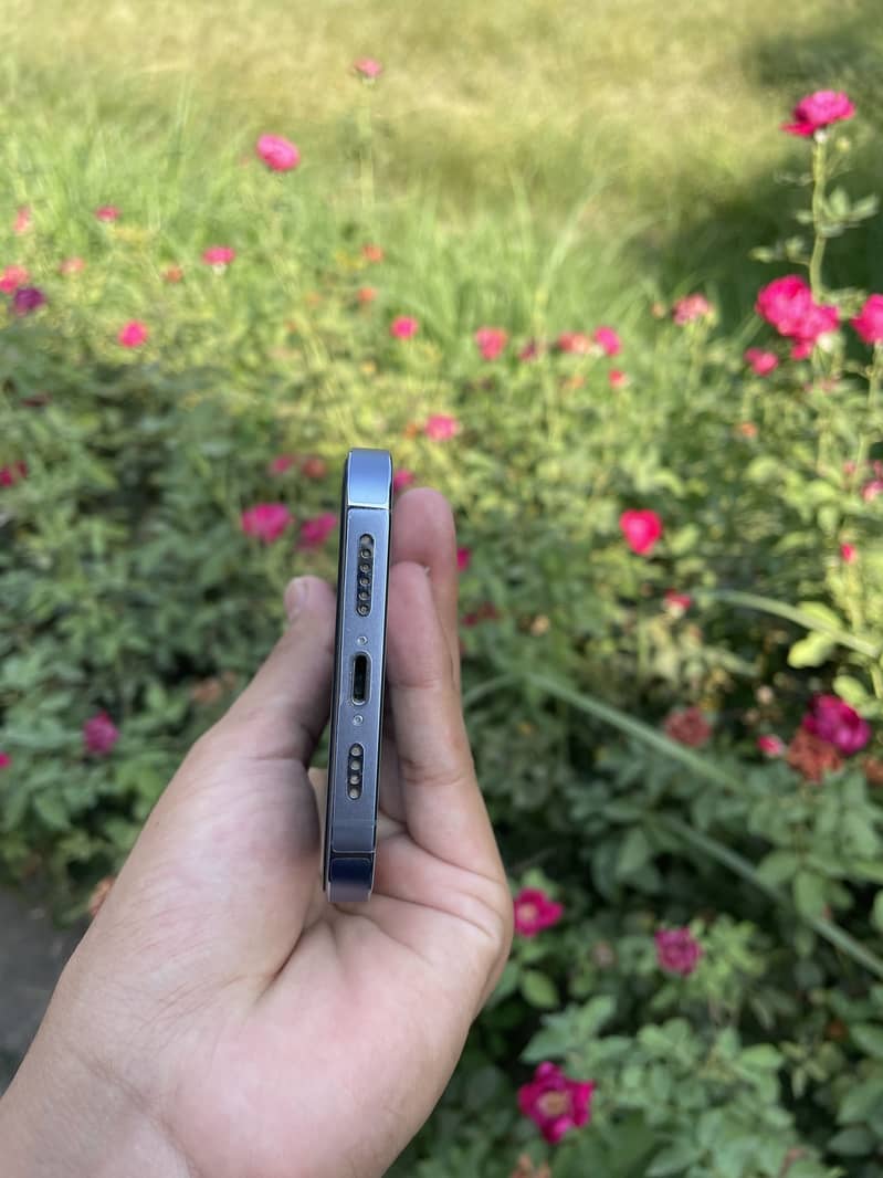 Apple iPhone 13 Pro Max 2