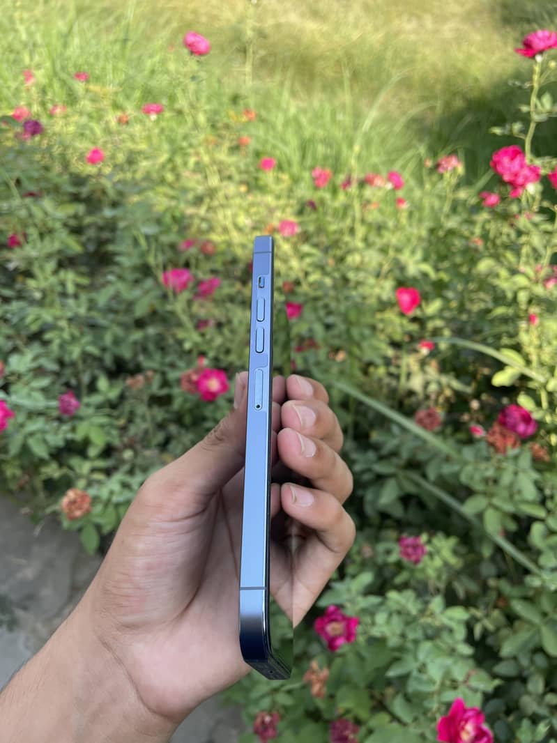 Apple iPhone 13 Pro Max 3