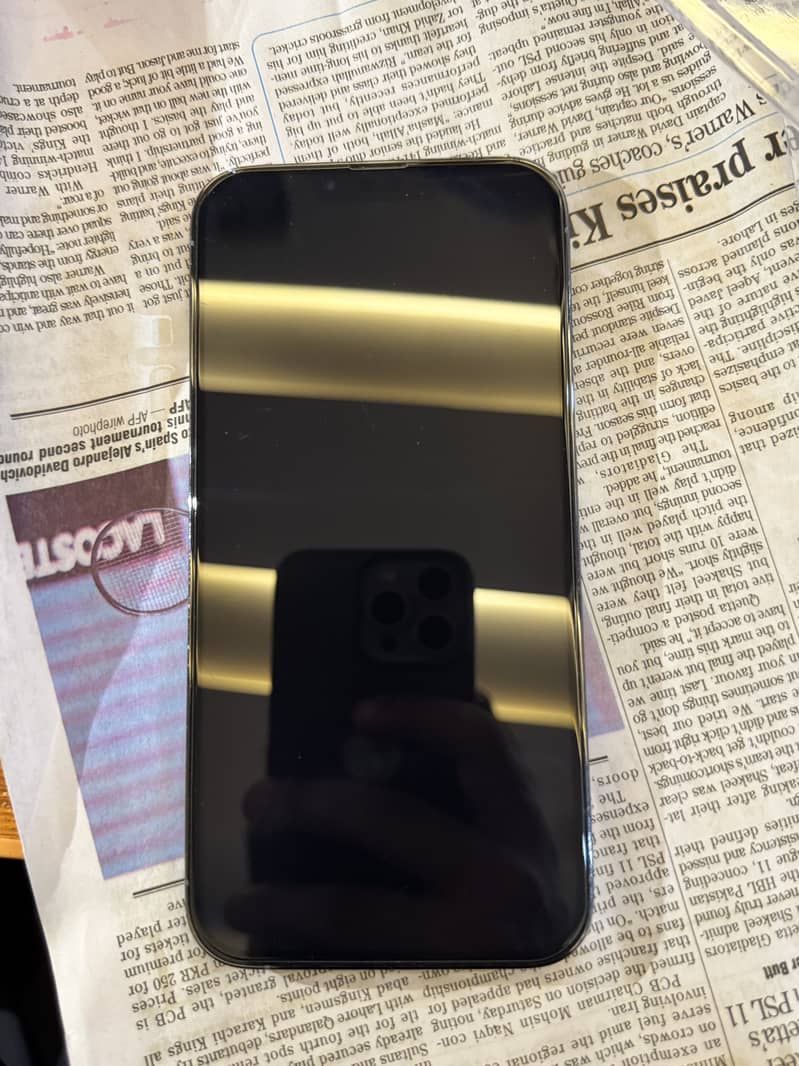 Apple iPhone 13 Pro Max 6