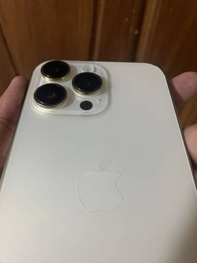 Apple iPhone 14 Pro Max bypass
