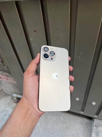 Apple iPhone 13 Pro Max
