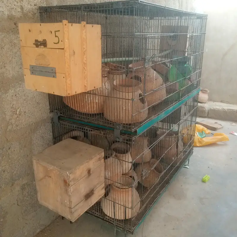 arjant sell — photo 2