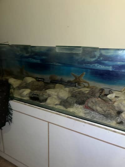 Fish Aquarium