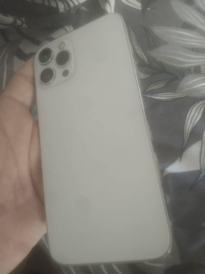 Apple iPhone 12 Pro Max 1