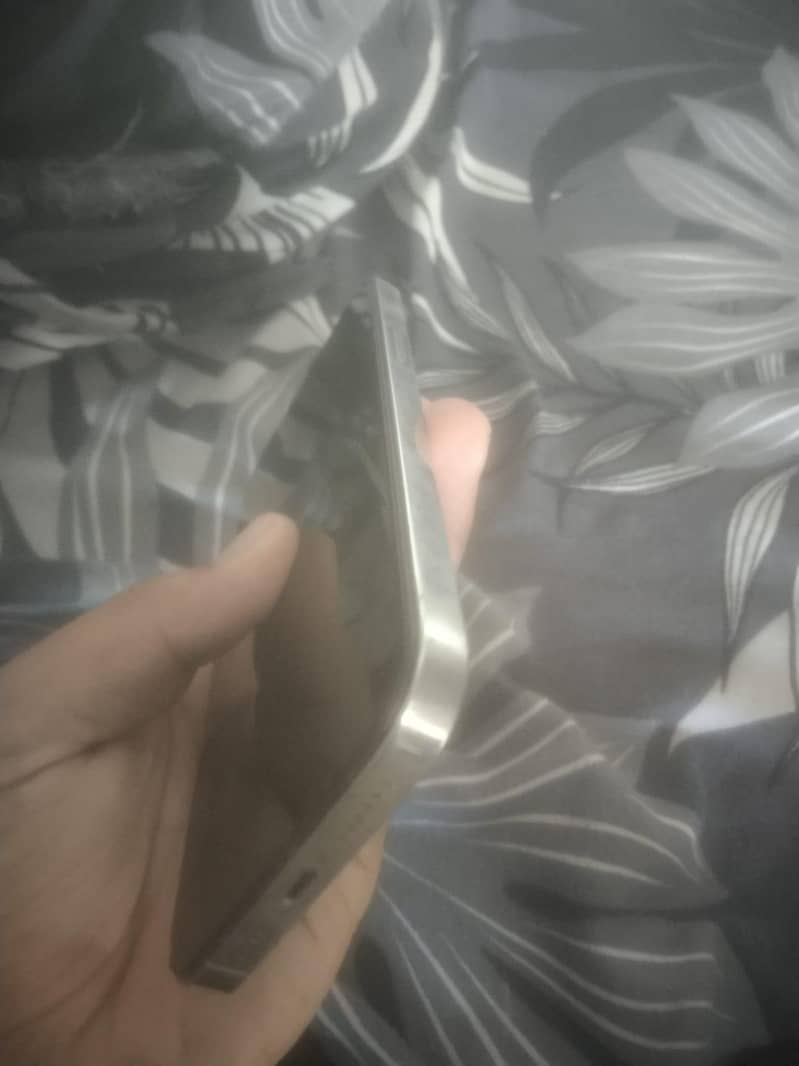 Apple iPhone 12 Pro Max 2