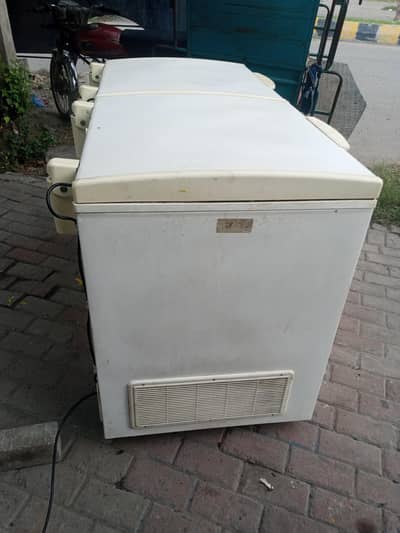 waves frezae 2door