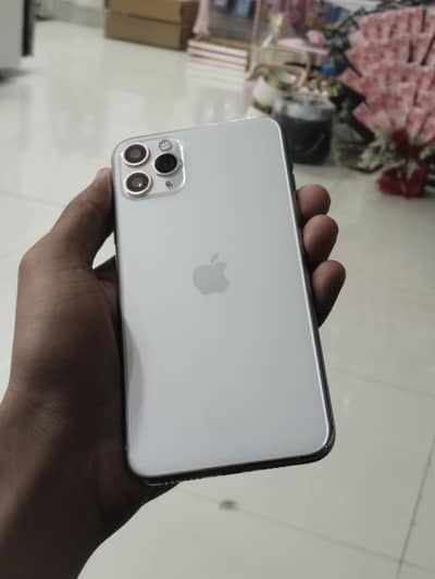 Apple iPhone 11 Pro Max 256gb dual physical pta approved