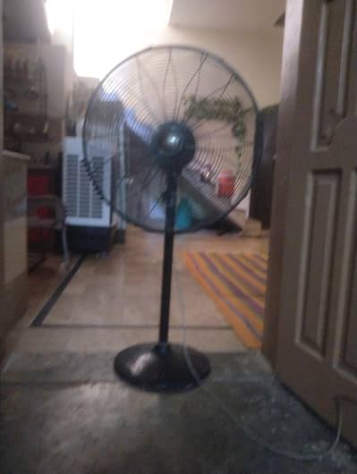 wahid Fan