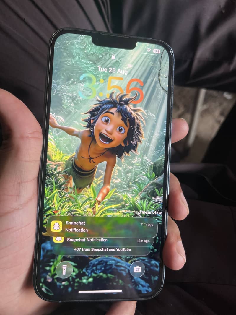 Apple iPhone 13 Pro Max 0