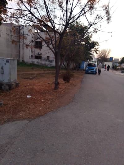 Beautiful Plot Park Face In Media Town