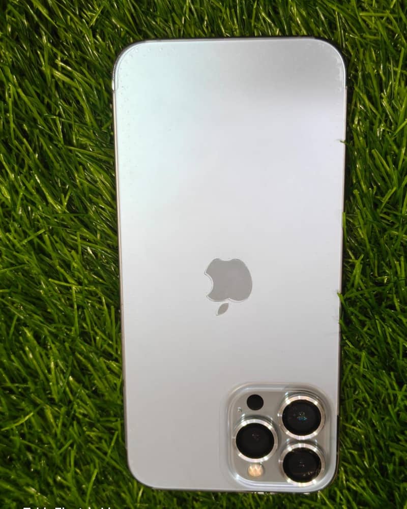Apple iPhone 13 Pro Max 1