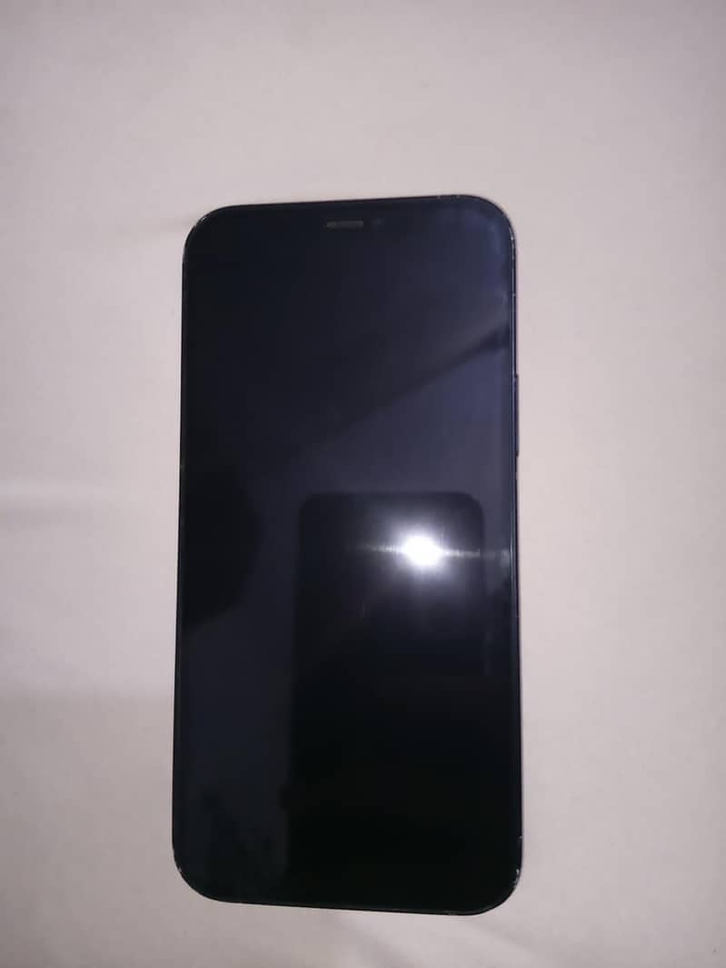 Apple iPhone 12 1