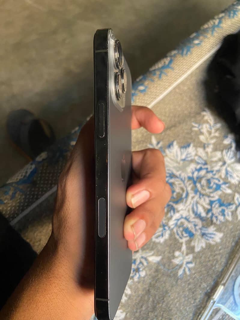 Apple iPhone 13 Pro Max 1