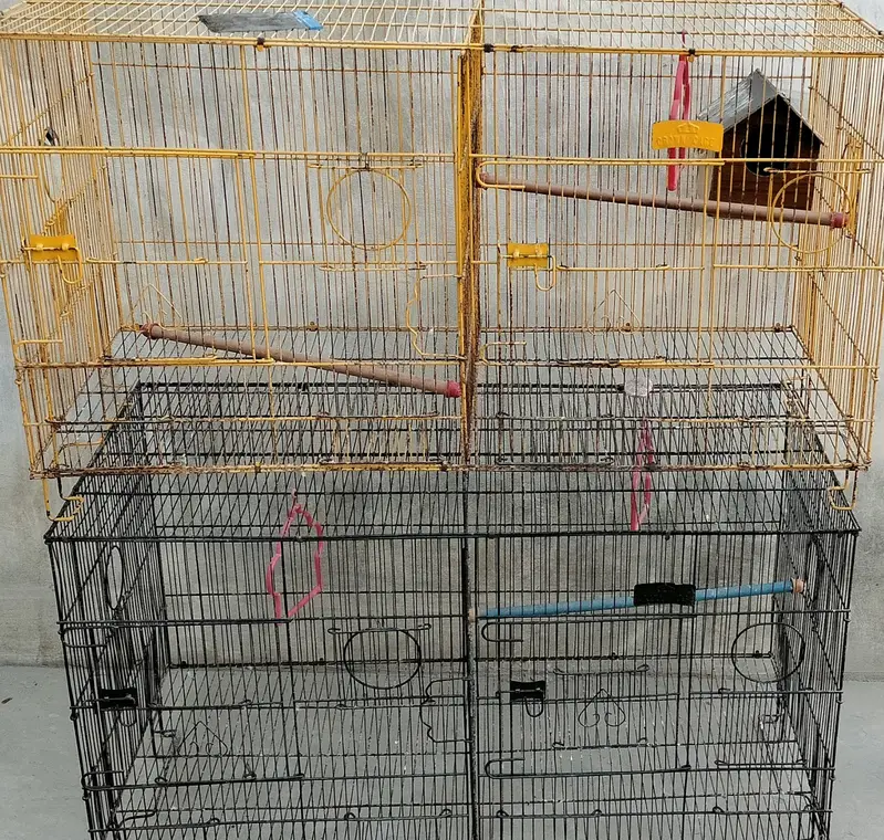 Double cage — photo 2