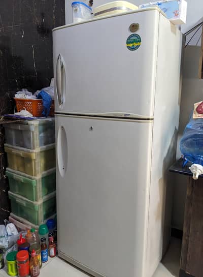 Fridge/ Refrigerator