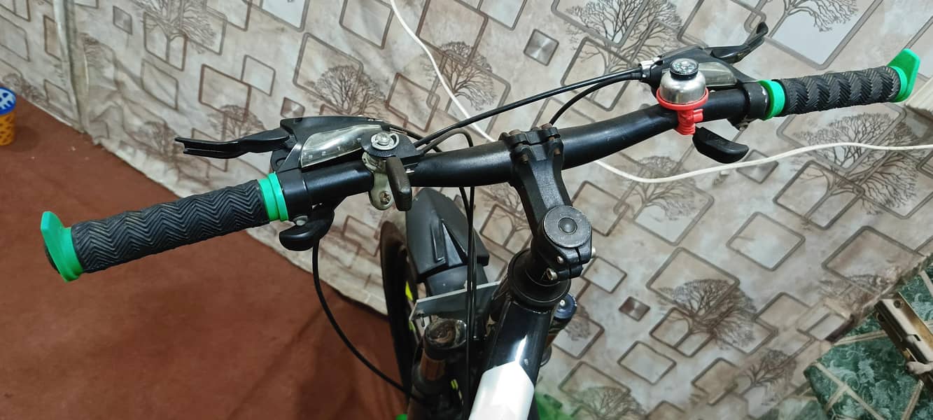 Bicycle 5