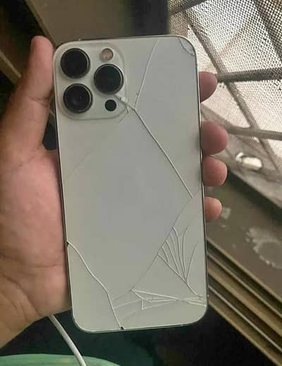 Apple iPhone 13 Pro Max