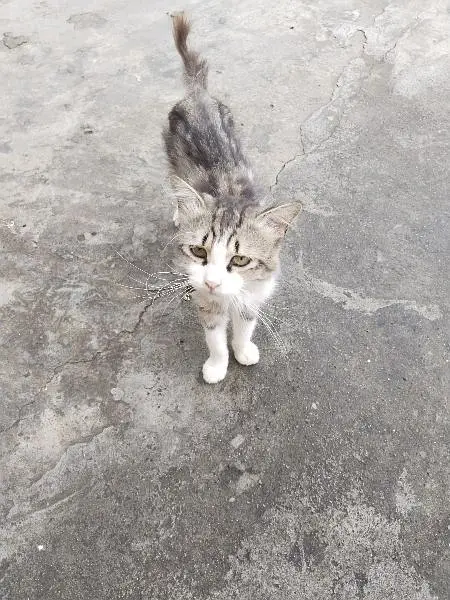 3 vaccine lagi hai — photo 3