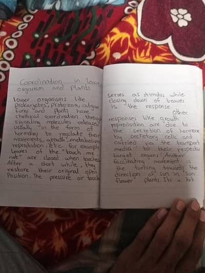 Assignment writting
