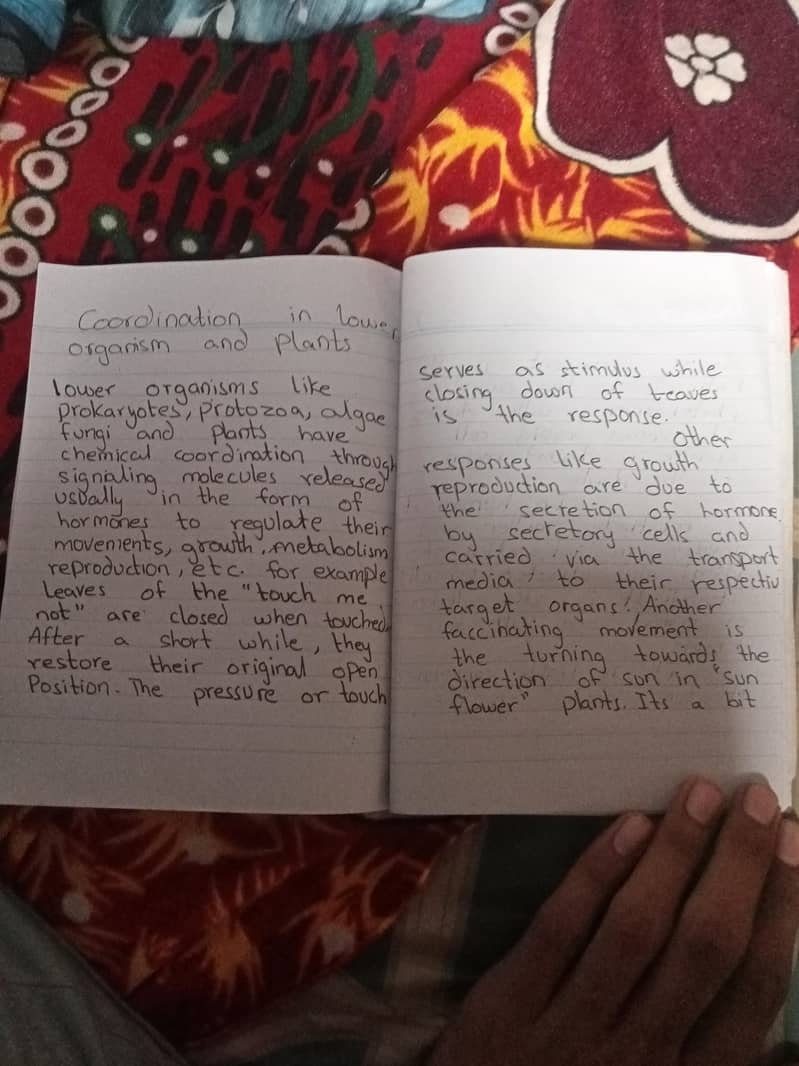 Assignment writting 0
