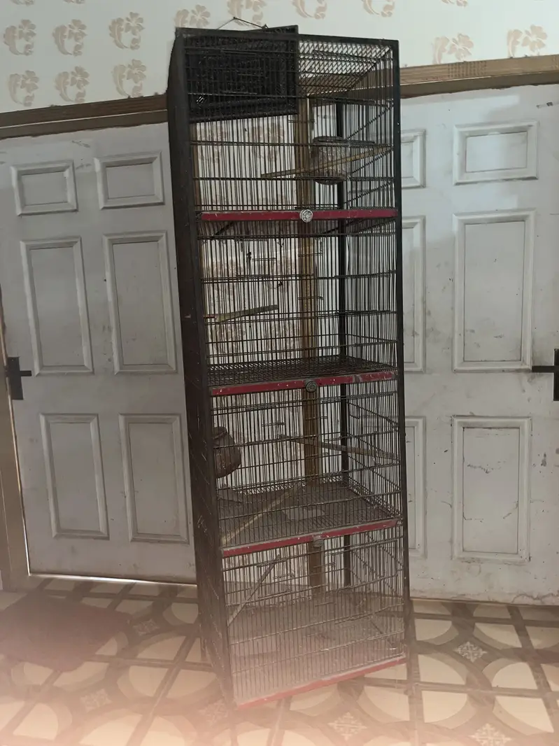 Cage for hen,parrots or any other bird… — photo 2