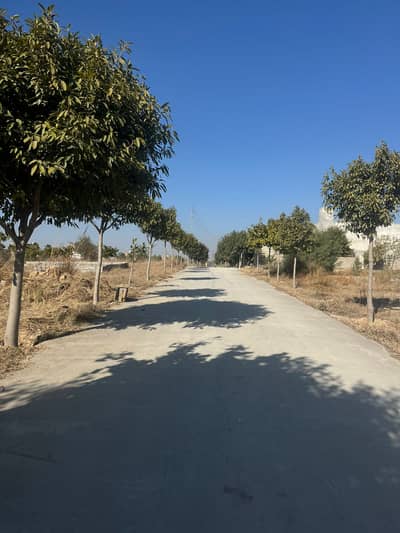 Zamar Valley Plot For Sale