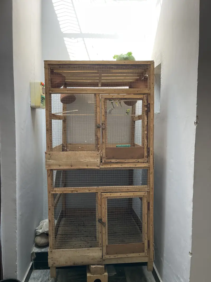 Wood cage — photo 2