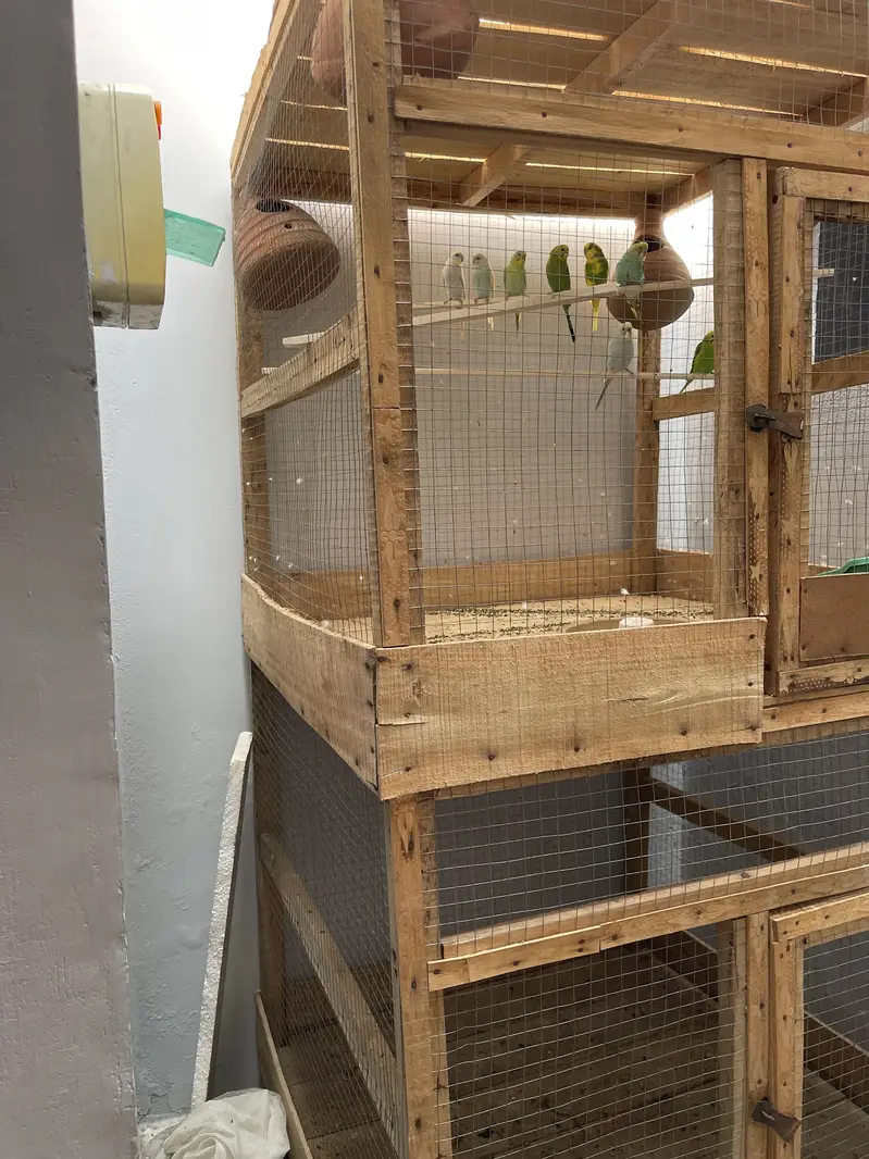 Wood cage — photo 3