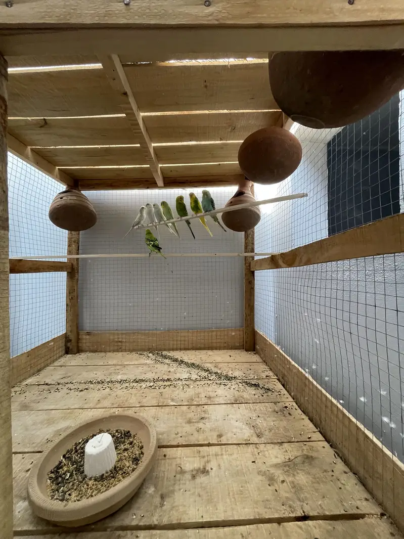 Wood cage — photo 6