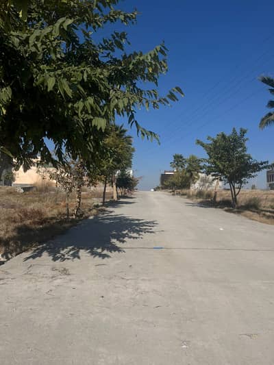 Commercial Plot For Sale In Zamar Valley