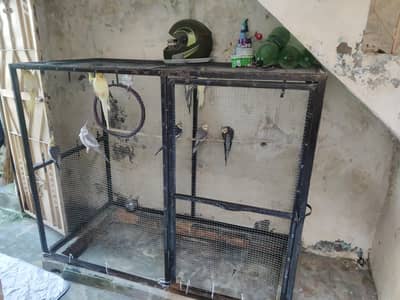 birds cage for sale