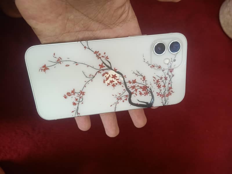Apple iPhone 12 1