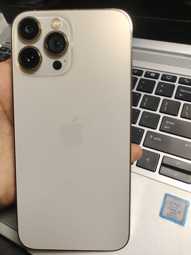 Apple iPhone 13 Pro Max 0