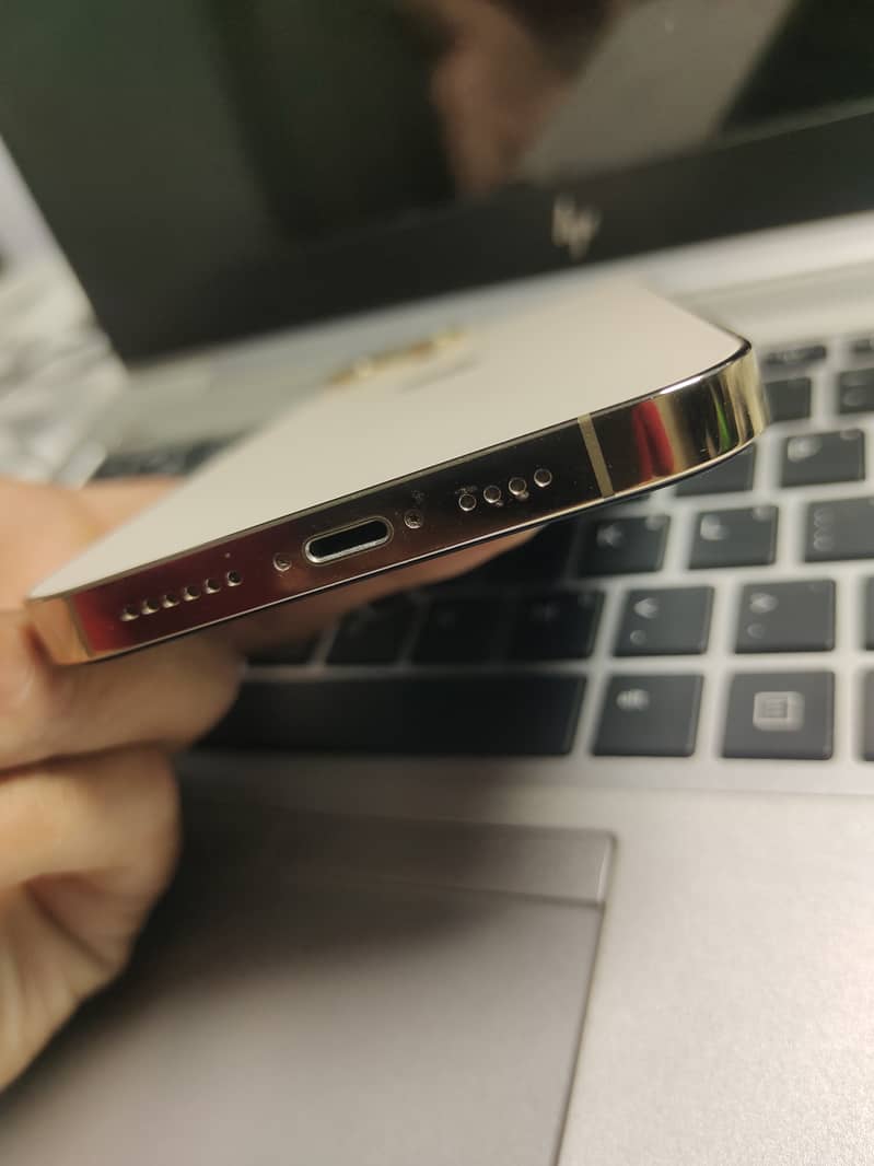 Apple iPhone 13 Pro Max 3