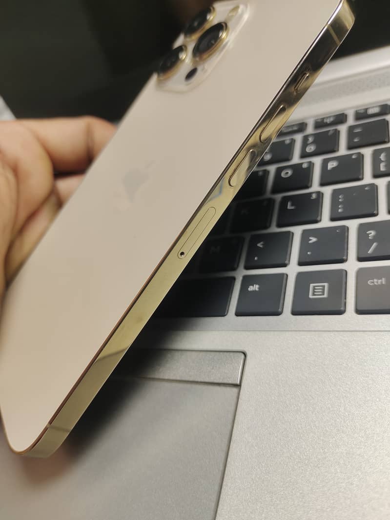 Apple iPhone 13 Pro Max 4