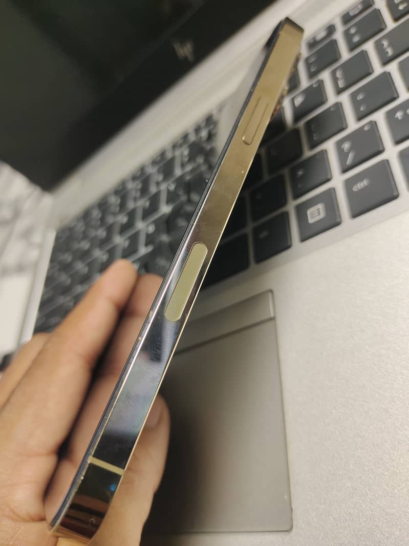Apple iPhone 13 Pro Max 5