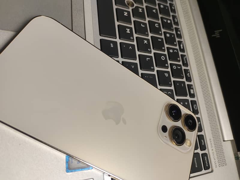 Apple iPhone 13 Pro Max 7
