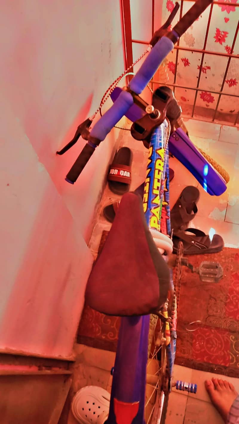 Mountain cycle 1
