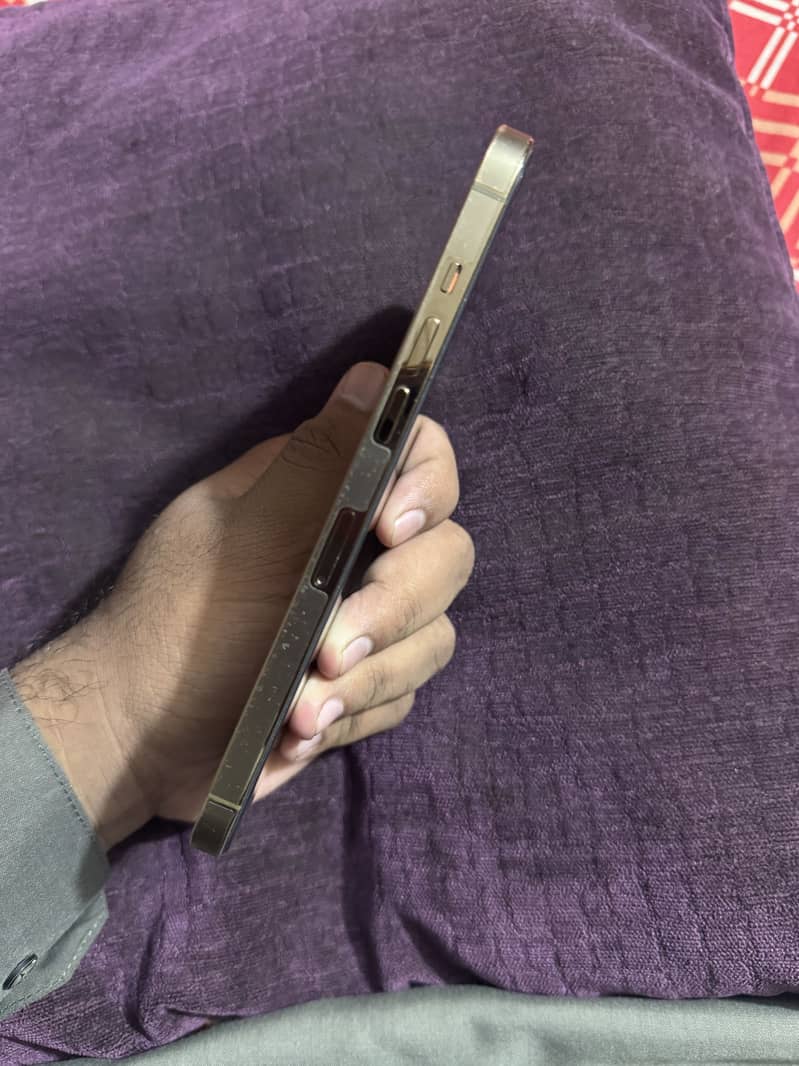 Apple iPhone 12 Pro Max 1