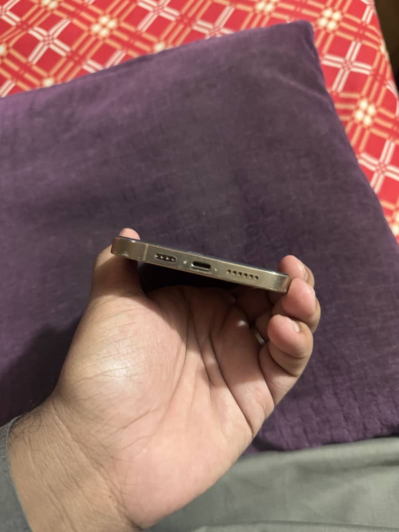 Apple iPhone 12 Pro Max 2