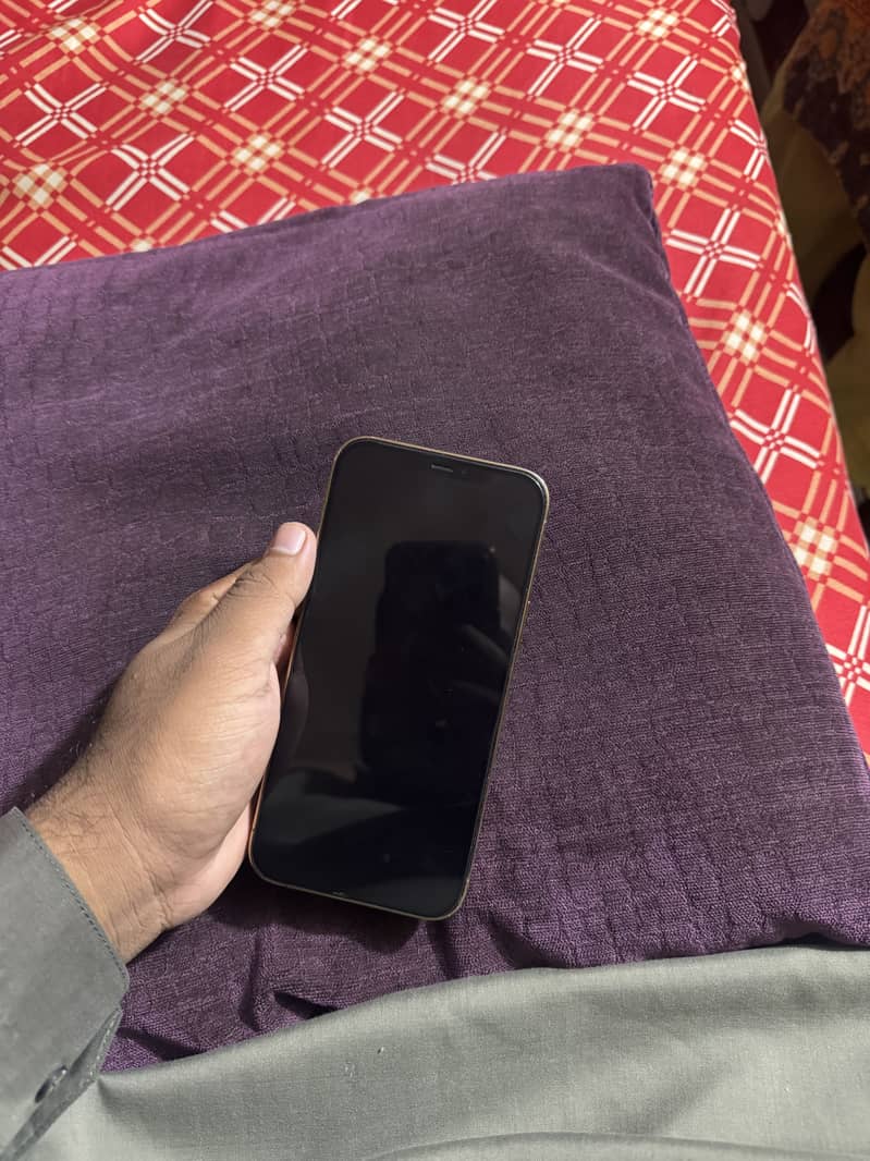 Apple iPhone 12 Pro Max 3